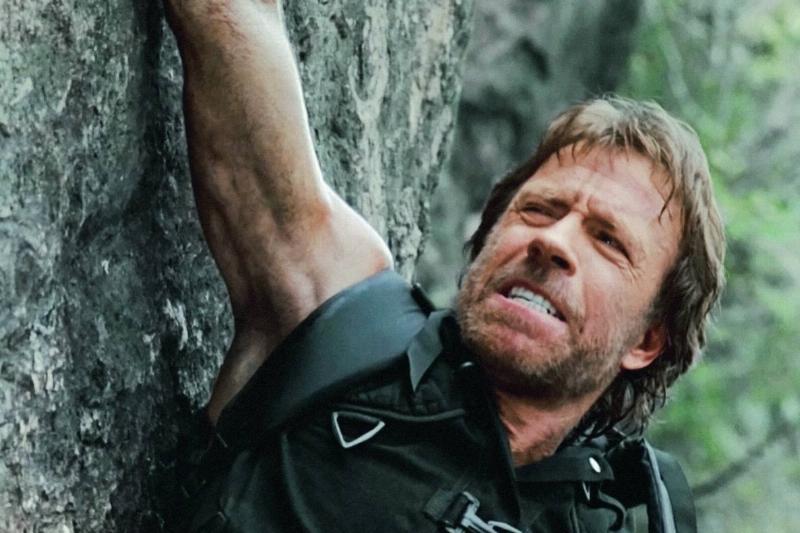 Chuck Norris No Joke 29