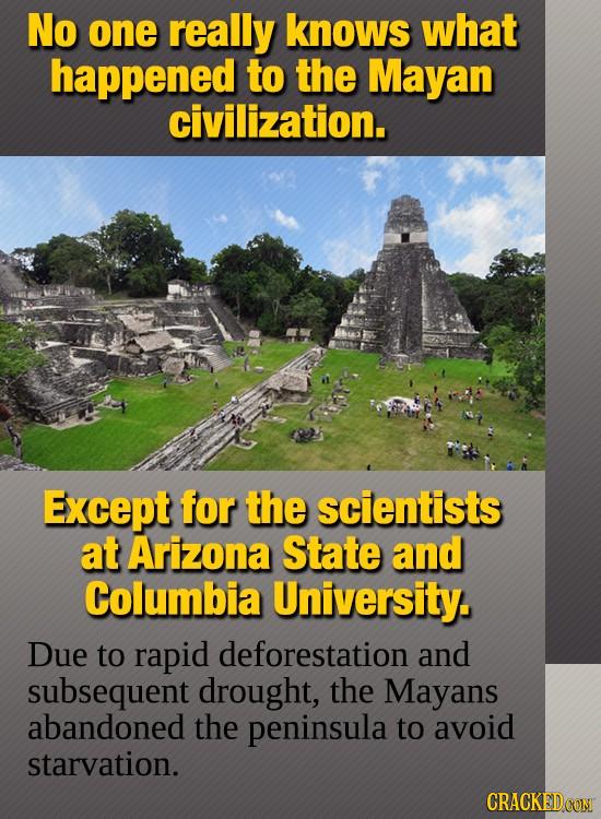 Mayan Civilization